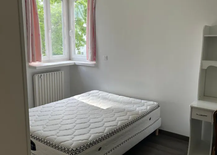 Appartement Lumineux Et Spacieux Dans Paris